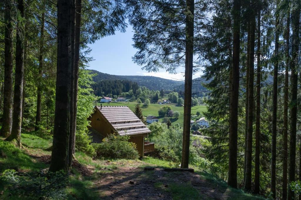 Charmant Chalet Cosy & Paisible En Pleine Nature - Refuge Idyllique Pour 5P Gérardmer Exteriör bild